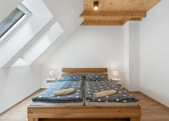 U Buku 3 By Interhome Apartamento Bedřichov